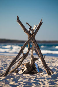 Close-up of driftwood on beach