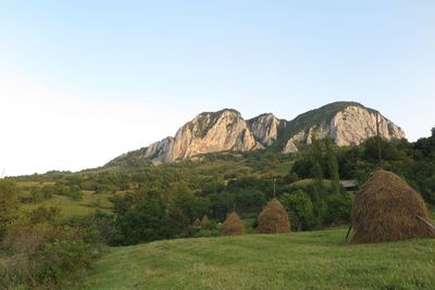 Scenic view of landscape against clear sky