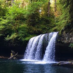 Scenic view of waterfall