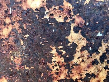 Full frame shot of rusty textured surface