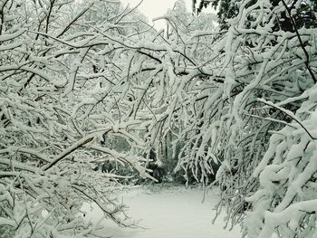 Snow on field during winter