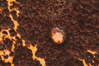 Close-up of rusty metal