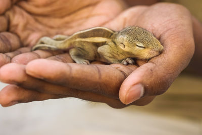 Close-up of person holding hands