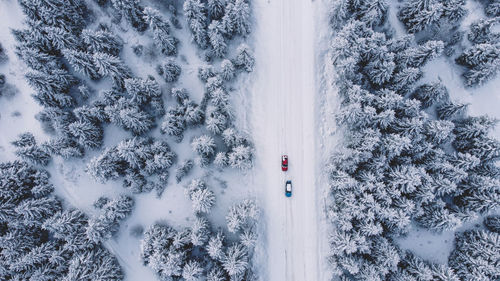 Snowed forest  and cars aerial