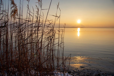 Scenic view of sea against sky during sunset