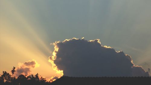 Low angle view of silhouette trees against sky during sunset