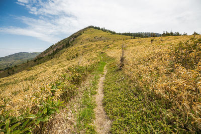 Scenic view of field against sky