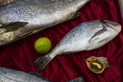 High angle view of fish on table