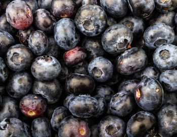 Full frame shot of blueberries