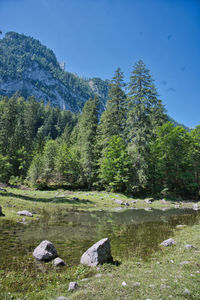 Scenic view of rocks by trees against sky