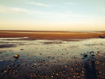 Scenic view of sea at sunset