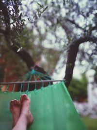 Low section of person on hammock against trees