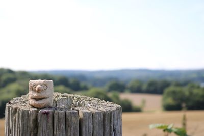 Close-up of wood against clear sky