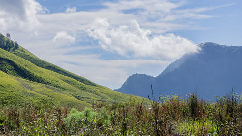 Scenic view of green landscape against sky