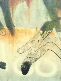 Close-up of wall