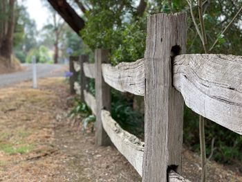 Close-up of wooden fence in forest