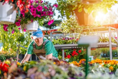 Man working in greenhouse