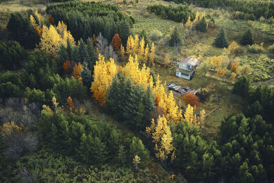 Remote country house in autumnal land from drone