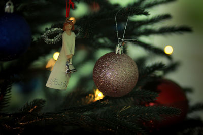 Close-up of christmas tree