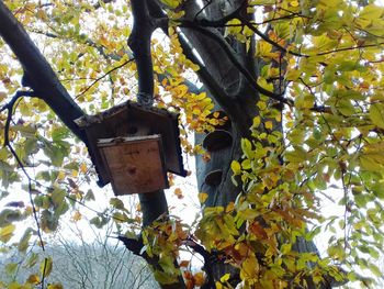 Low angle view of birdhouse on tree