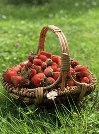 Close-up of strawberries in basket