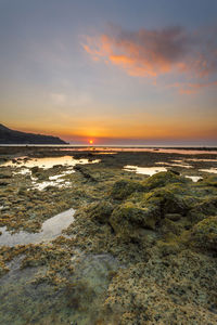 Scenic view of beach against sky during sunset