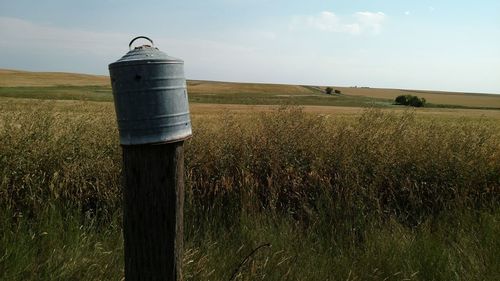 View of wheat field against sky