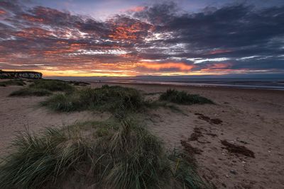 Scenic view of beach during sunset