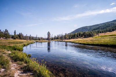 Scenic view of river against sky