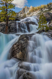 Scenic view of waterfall in forest