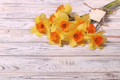 High angle view of flowering plant on table