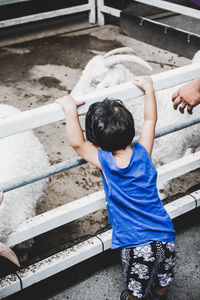 High angle view of boy climbing on staircase