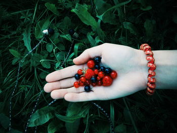 Cropped hand of woman holding berries by plants