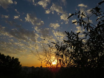 Low angle view of silhouette trees against sky at sunset