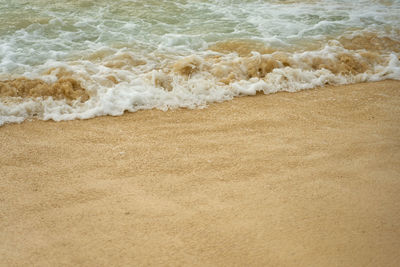 Close-up of beach