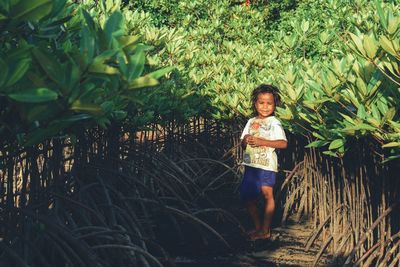 Portrait of smiling boy standing amidst plants