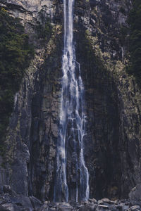 Low angle view of waterfall in forest