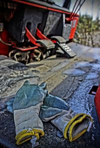 Close up of plant against blurred background