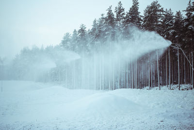 Snow covered land and trees against sky