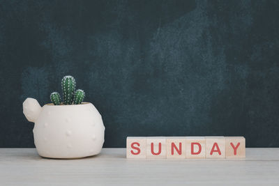 Close-up of potted plant on table against wall