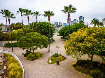 Trees by swimming pool in city against sky