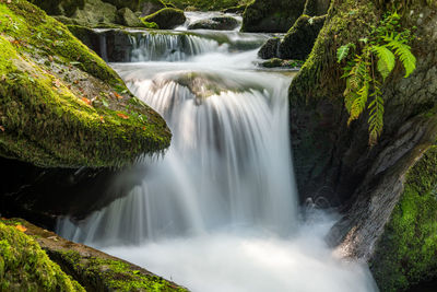 Scenic view of waterfall in forest