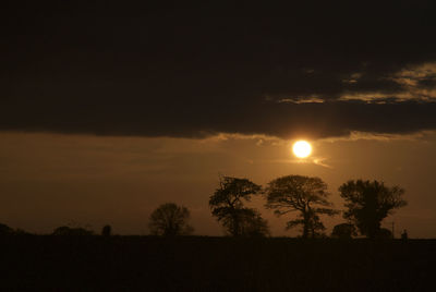 Silhouette trees on field against sky at sunset