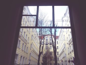 View of building through window