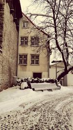 Bare tree and buildings in snow