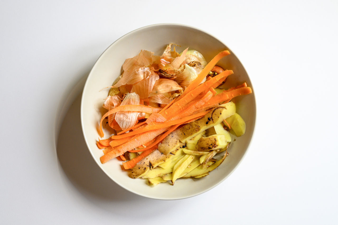 HIGH ANGLE VIEW OF FOOD IN PLATE