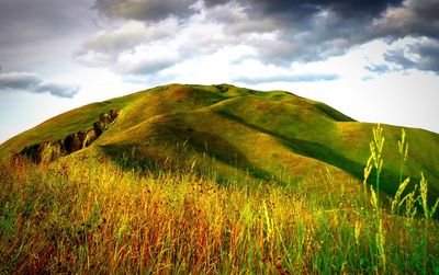 Low angle view of green landscape against sky