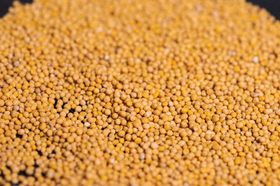 Full frame shot of beans