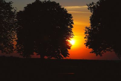 Silhouette trees against sky during sunset