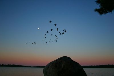 Scenic view of sea at sunset